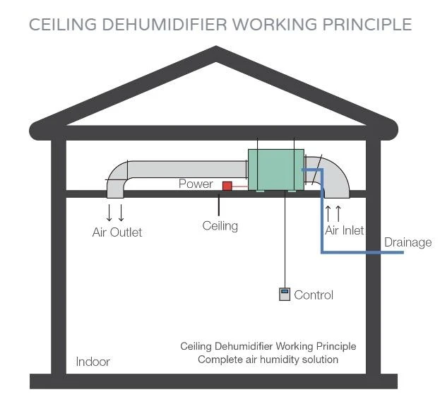 ceiling mounted principle